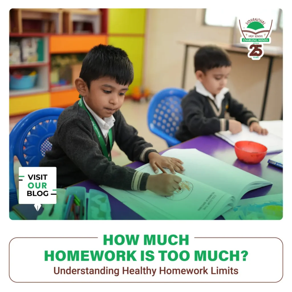 How Much Homework Is Too Much? Understanding Healthy Homework Limits